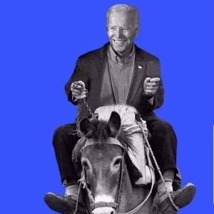 Meet your Posher, Pat